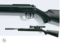 Picture of DIANA 31 PANTHER PRO COMPACT .177 AIR RIFLE 