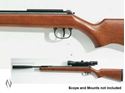 Picture of DIANA 350 CLASSIC PROF COMP .22 AIR RIFLE 